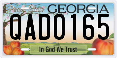 GA license plate QAD0165