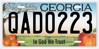 GA license plate QAD0223
