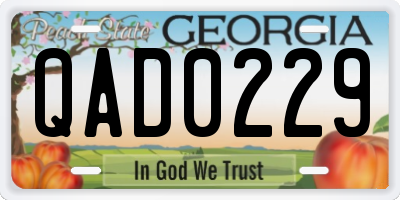 GA license plate QAD0229
