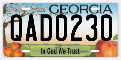 GA license plate QAD0230