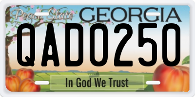 GA license plate QAD0250