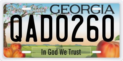 GA license plate QAD0260