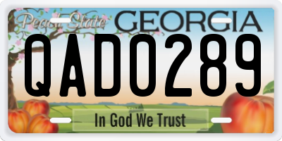 GA license plate QAD0289