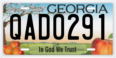 GA license plate QAD0291