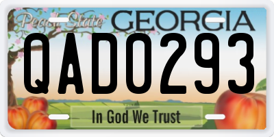 GA license plate QAD0293