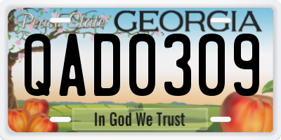 GA license plate QAD0309