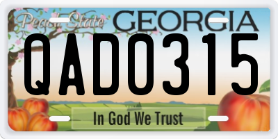 GA license plate QAD0315