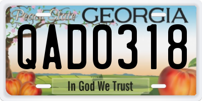 GA license plate QAD0318