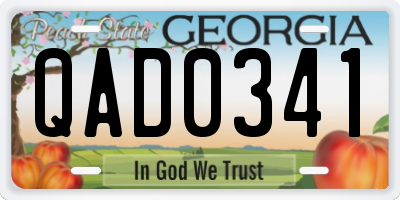 GA license plate QAD0341