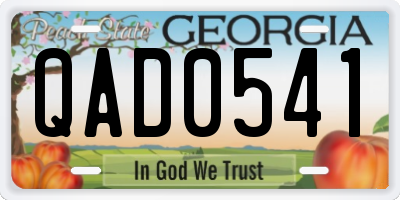 GA license plate QAD0541