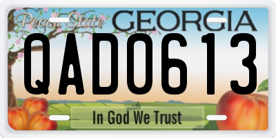 GA license plate QAD0613