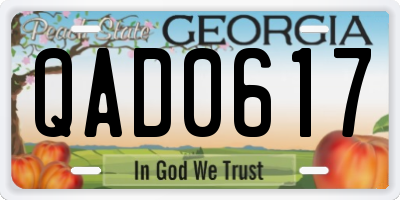 GA license plate QAD0617