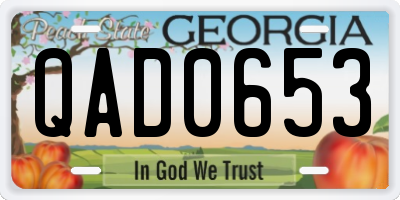 GA license plate QAD0653