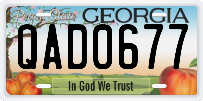 GA license plate QAD0677