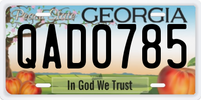 GA license plate QAD0785