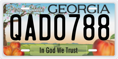 GA license plate QAD0788