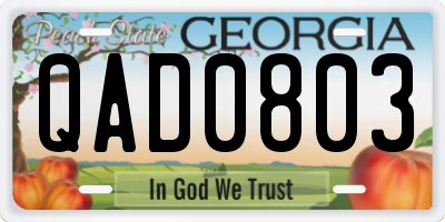 GA license plate QAD0803