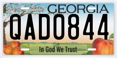 GA license plate QAD0844