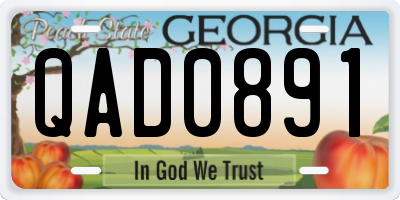 GA license plate QAD0891