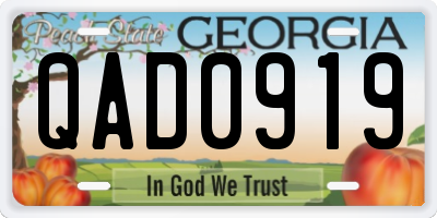 GA license plate QAD0919