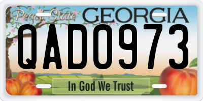 GA license plate QAD0973