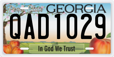 GA license plate QAD1029