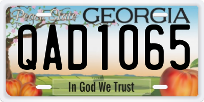 GA license plate QAD1065