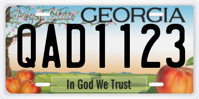 GA license plate QAD1123