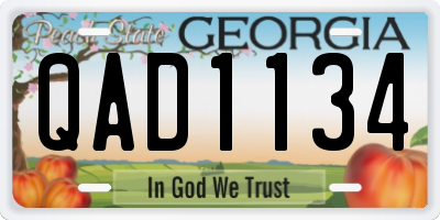 GA license plate QAD1134