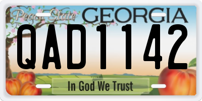 GA license plate QAD1142