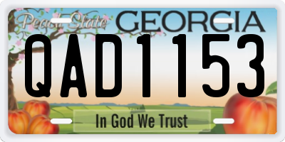 GA license plate QAD1153