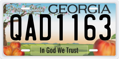 GA license plate QAD1163