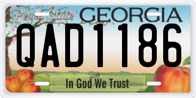 GA license plate QAD1186