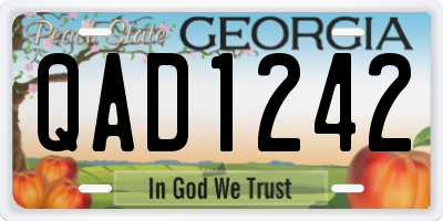 GA license plate QAD1242