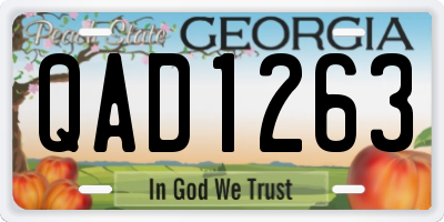 GA license plate QAD1263