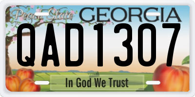 GA license plate QAD1307