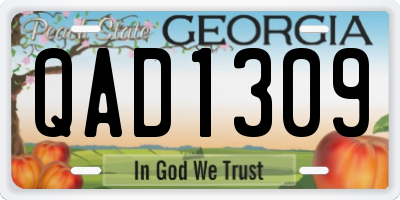 GA license plate QAD1309