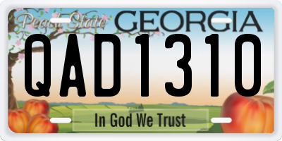 GA license plate QAD1310