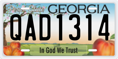 GA license plate QAD1314