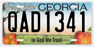 GA license plate QAD1341