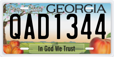 GA license plate QAD1344