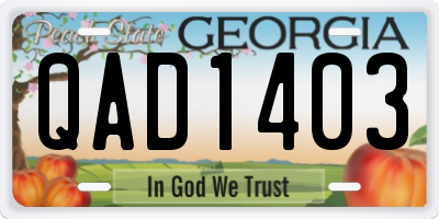 GA license plate QAD1403