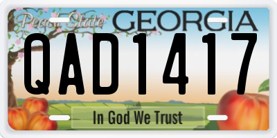 GA license plate QAD1417