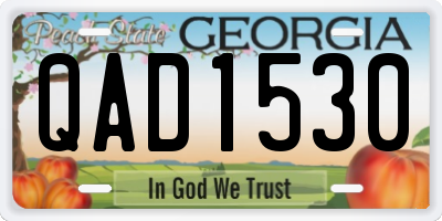 GA license plate QAD1530