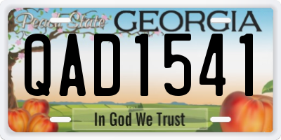 GA license plate QAD1541