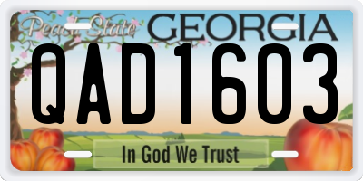 GA license plate QAD1603