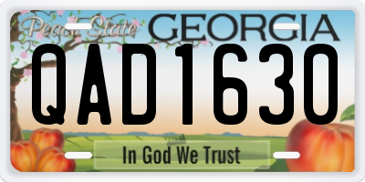 GA license plate QAD1630