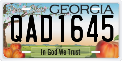 GA license plate QAD1645