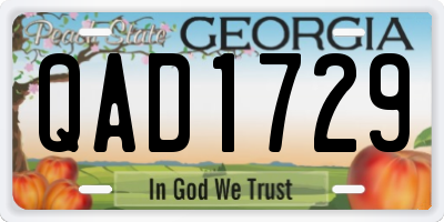 GA license plate QAD1729