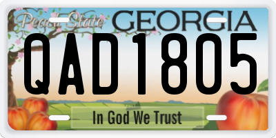 GA license plate QAD1805